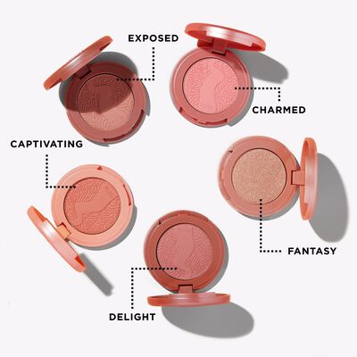 Tarte Amazonian clay cheek set